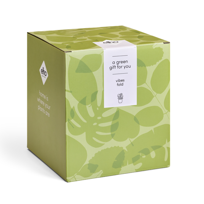 GIFT vibes fold 7,9,11,14,c14 seidenweiß